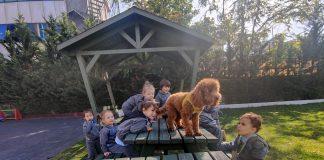 4 Ekim Hayvanları Koruma Günü