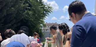 Anaokulları Semt Pazarı