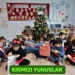 Yeni yıl kırmızı yunus